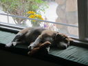 Filename=IMG_1816.JPG
Filesize=340KiB
Dimensions=2048x1536
Date added=Feb 08, 2018 IMG_1816.JPG