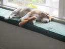 Filename=IMG_1817.JPG
Filesize=283KiB
Dimensions=2048x1536
Date added=Feb 08, 2018 IMG_1817.JPG