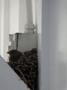 Filename=DSC01639.JPG
Filesize=227KiB
Dimensions=1536x2048
Date added=Feb 09, 2018 DSC01639.JPG