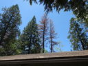 Filename=DSC01655.JPG
Filesize=829KiB
Dimensions=2048x1536
Date added=Feb 09, 2018 DSC01655.JPG
