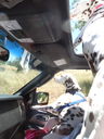 Filename=DSC01657.JPG
Filesize=431KiB
Dimensions=1536x2048
Date added=Feb 09, 2018 DSC01657.JPG