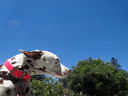 Filename=DSC01661.JPG
Filesize=379KiB
Dimensions=2048x1536
Date added=Feb 09, 2018 DSC01661.JPG