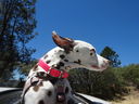 Filename=DSC01662.JPG
Filesize=447KiB
Dimensions=2048x1536
Date added=Feb 09, 2018 DSC01662.JPG