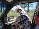 Filename=DSC01664.JPG
Filesize=523KiB
Dimensions=2048x1536
Date added=Feb 09, 2018 DSC01664.JPG