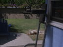 Filename=DSC01707.JPG
Filesize=1079KiB
Dimensions=2048x1536
Date added=Feb 09, 2018 DSC01707.JPG