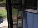 Filename=DSC01708.JPG
Filesize=746KiB
Dimensions=2048x1536
Date added=Feb 09, 2018 DSC01708.JPG