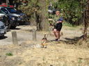 Filename=DSC01723.JPG
Filesize=764KiB
Dimensions=2048x1536
Date added=Feb 09, 2018 DSC01723.JPG