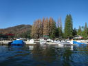 Filename=DSC01736.JPG
Filesize=578KiB
Dimensions=2048x1536
Date added=Feb 09, 2018 DSC01736.JPG