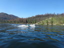 Filename=DSC01740.JPG
Filesize=459KiB
Dimensions=2048x1536
Date added=Feb 09, 2018 DSC01740.JPG