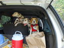 Filename=DSC02042.JPG
Filesize=470KiB
Dimensions=2048x1536
Date added=Feb 09, 2018 DSC02042.JPG