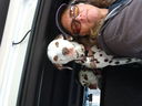 Filename=DSC02061.JPG
Filesize=356KiB
Dimensions=2048x1536
Date added=Feb 09, 2018 DSC02061.JPG