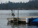 Filename=DSC02080.JPG
Filesize=443KiB
Dimensions=2048x1536
Date added=Feb 09, 2018 DSC02080.JPG