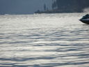 Filename=DSC02085.JPG
Filesize=441KiB
Dimensions=2048x1536
Date added=Feb 09, 2018 DSC02085.JPG