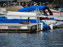 Filename=DSC02088.JPG
Filesize=548KiB
Dimensions=2048x1536
Date added=Feb 09, 2018 DSC02088.JPG
