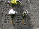 Filename=DSC02089.JPG
Filesize=803KiB
Dimensions=2048x1536
Date added=Feb 09, 2018 DSC02089.JPG