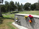 Filename=DSC02091.JPG
Filesize=836KiB
Dimensions=2048x1536
Date added=Feb 09, 2018 DSC02091.JPG