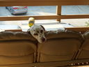 Filename=DSC02092.JPG
Filesize=410KiB
Dimensions=2048x1536
Date added=Feb 09, 2018 DSC02092.JPG