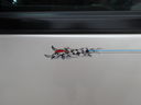 Filename=DSC02095.JPG
Filesize=197KiB
Dimensions=2048x1536
Date added=Feb 09, 2018 DSC02095.JPG
