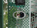 Filename=DSC02099.JPG
Filesize=592KiB
Dimensions=2048x1536
Date added=Feb 09, 2018 DSC02099.JPG