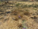Filename=DSC02139.JPG
Filesize=1072KiB
Dimensions=2048x1536
Date added=Feb 09, 2018 DSC02139.JPG