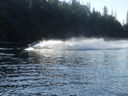 Filename=DSC02160.JPG
Filesize=562KiB
Dimensions=2048x1536
Date added=Feb 09, 2018 DSC02160.JPG