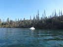 Filename=DSC02165.JPG
Filesize=495KiB
Dimensions=2048x1536
Date added=Feb 09, 2018 DSC02165.JPG