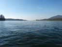 Filename=DSC02170.JPG
Filesize=367KiB
Dimensions=2048x1536
Date added=Feb 09, 2018 DSC02170.JPG