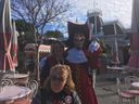 Filename=IMG_0087_28129.JPG
Filesize=514KiB
Dimensions=2048x1536
Date added=May 15, 2019 IMG_0087_28129.JPG