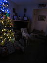 Filename=IMG_0507.JPG
Filesize=285KiB
Dimensions=1536x2048
Date added=Jan 17, 2019 IMG_0507.JPG