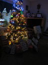Filename=IMG_0508.JPG
Filesize=320KiB
Dimensions=1536x2048
Date added=Jan 17, 2019 IMG_0508.JPG