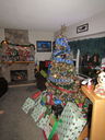 Filename=IMG_0512.JPG
Filesize=558KiB
Dimensions=1536x2048
Date added=Jan 17, 2019 IMG_0512.JPG