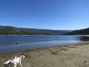 Filename=IMG_0524.JPG
Filesize=448KiB
Dimensions=2048x1536
Date added=Jan 17, 2019 IMG_0524.JPG