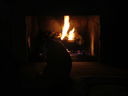 Filename=IMG_0531.JPG
Filesize=189KiB
Dimensions=2048x1536
Date added=May 15, 2019 IMG_0531.JPG