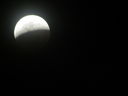 Filename=IMG_0536.JPG
Filesize=126KiB
Dimensions=2048x1536
Date added=May 15, 2019 IMG_0536.JPG