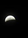 Filename=IMG_0540.JPG
Filesize=101KiB
Dimensions=1536x2048
Date added=May 15, 2019 IMG_0540.JPG