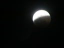 Filename=IMG_0542.JPG
Filesize=145KiB
Dimensions=2048x1536
Date added=May 15, 2019 IMG_0542.JPG