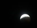 Filename=IMG_0548.JPG
Filesize=109KiB
Dimensions=2048x1536
Date added=May 15, 2019 IMG_0548.JPG