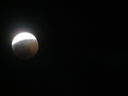 Filename=IMG_0551.JPG
Filesize=154KiB
Dimensions=2048x1536
Date added=May 15, 2019 IMG_0551.JPG