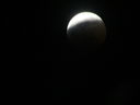 Filename=IMG_0552.JPG
Filesize=134KiB
Dimensions=2048x1536
Date added=May 15, 2019 IMG_0552.JPG