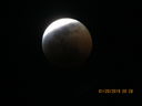 Filename=IMG_0553.JPG
Filesize=139KiB
Dimensions=2048x1536
Date added=May 15, 2019 IMG_0553.JPG