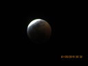 Filename=IMG_0559.JPG
Filesize=126KiB
Dimensions=2048x1536
Date added=May 15, 2019 IMG_0559.JPG