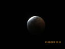 Filename=IMG_0562.JPG
Filesize=126KiB
Dimensions=2048x1536
Date added=May 15, 2019 IMG_0562.JPG