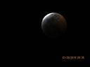 Filename=IMG_0566.JPG
Filesize=126KiB
Dimensions=2048x1536
Date added=May 15, 2019 IMG_0566.JPG