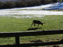 Filename=IMG_1192.JPG
Filesize=769KiB
Dimensions=2048x1536
Date added=Feb 01, 2018 IMG_1192.JPG