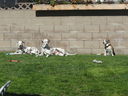 Filename=IMG_1210.JPG
Filesize=823KiB
Dimensions=2048x1536
Date added=Feb 01, 2018 IMG_1210.JPG