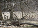 Filename=IMG_1222.JPG
Filesize=935KiB
Dimensions=2048x1536
Date added=Feb 01, 2018 IMG_1222.JPG