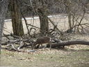 Filename=IMG_1223.JPG
Filesize=557KiB
Dimensions=2048x1536
Date added=Feb 01, 2018 IMG_1223.JPG