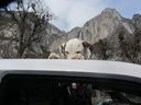Filename=IMG_1226.JPG
Filesize=370KiB
Dimensions=2048x1536
Date added=Feb 01, 2018 IMG_1226.JPG