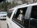 Filename=IMG_1227.JPG
Filesize=434KiB
Dimensions=2048x1536
Date added=Feb 01, 2018 IMG_1227.JPG
