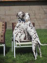 Filename=IMG_1230.JPG
Filesize=581KiB
Dimensions=1536x2048
Date added=Feb 01, 2018 IMG_1230.JPG